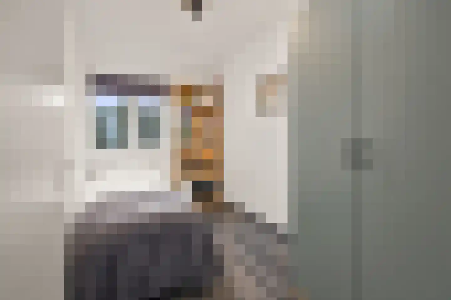 Stockhekken 10 Heesch thumbnail 23