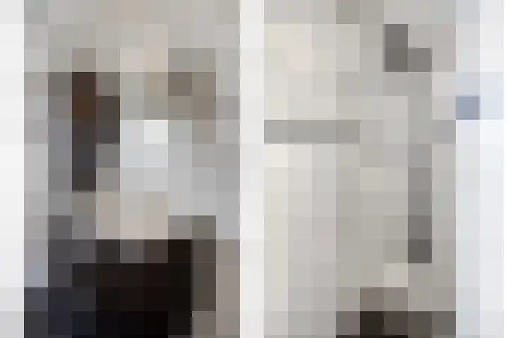 Stockhekken 10 Heesch thumbnail 24