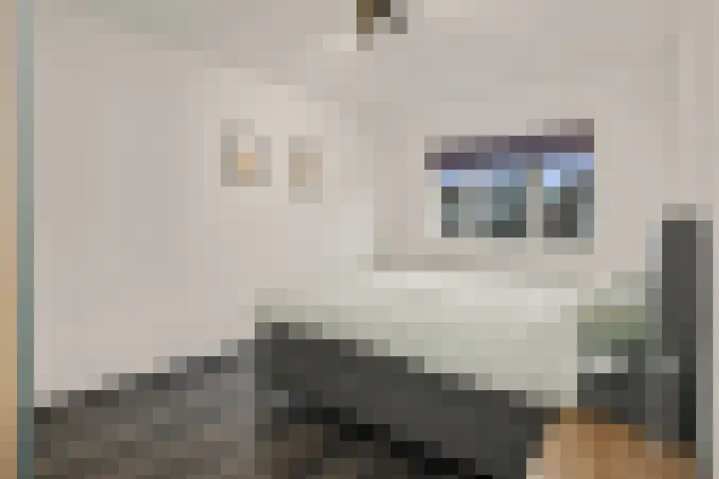 Stockhekken 10 Heesch thumbnail 24