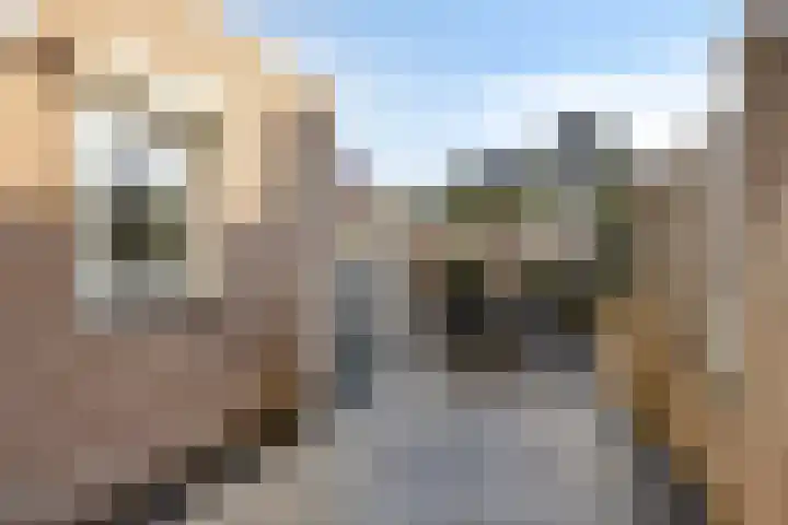 Stockhekken 10 Heesch thumbnail 27