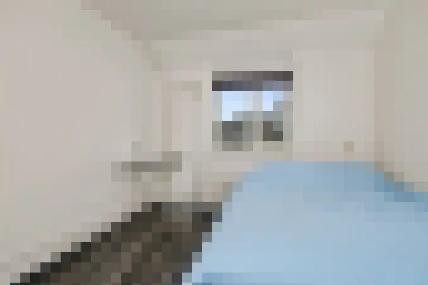 Stockhekken 10 Heesch thumbnail 27