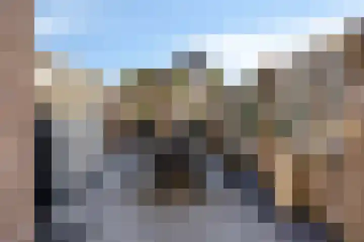 Stockhekken 10 Heesch thumbnail 28