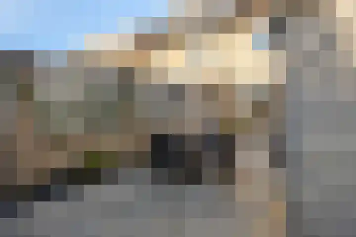 Stockhekken 10 Heesch thumbnail 30