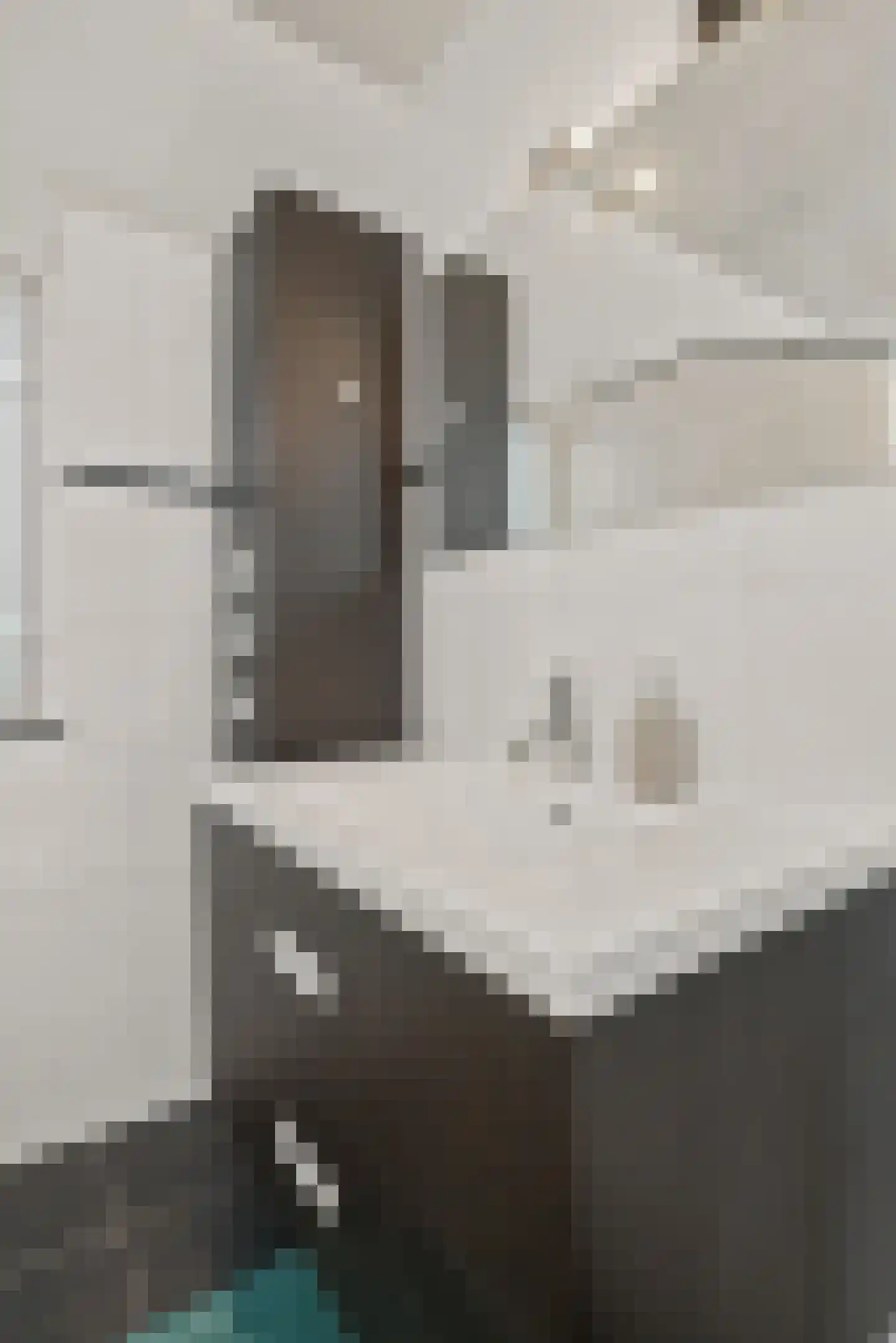 Stockhekken 10 Heesch thumbnail 30