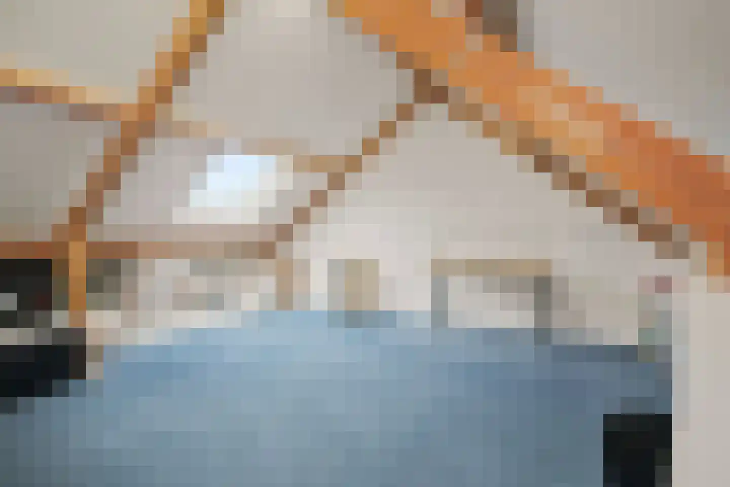 Stockhekken 10 Heesch thumbnail 32