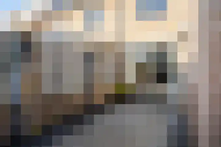 Stockhekken 10 Heesch thumbnail 32