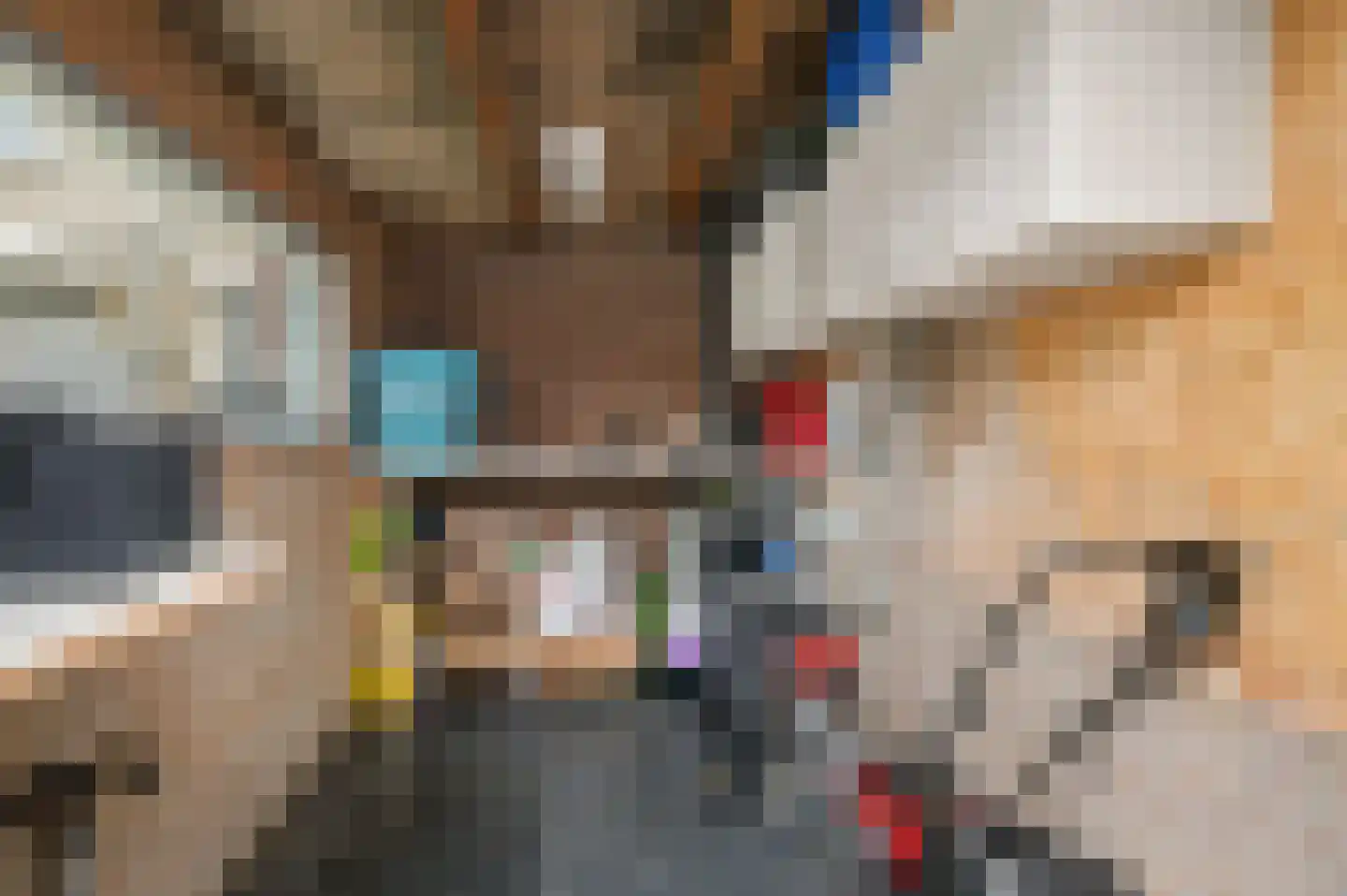 Stockhekken 10 Heesch thumbnail 38