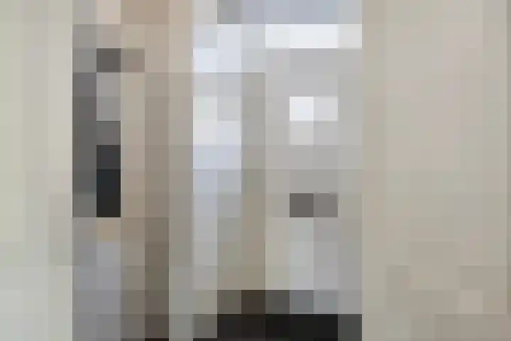 Stockhekken 10 Heesch thumbnail 4