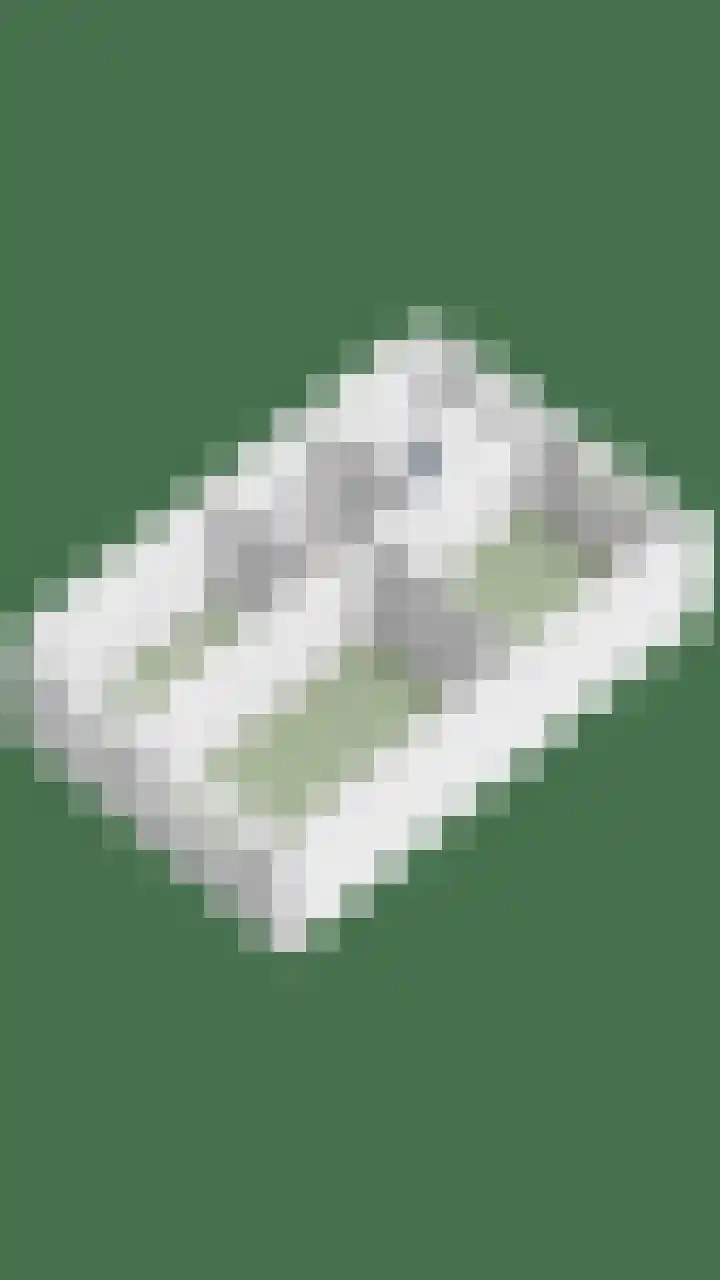 Stockhekken 10 Heesch thumbnail 41