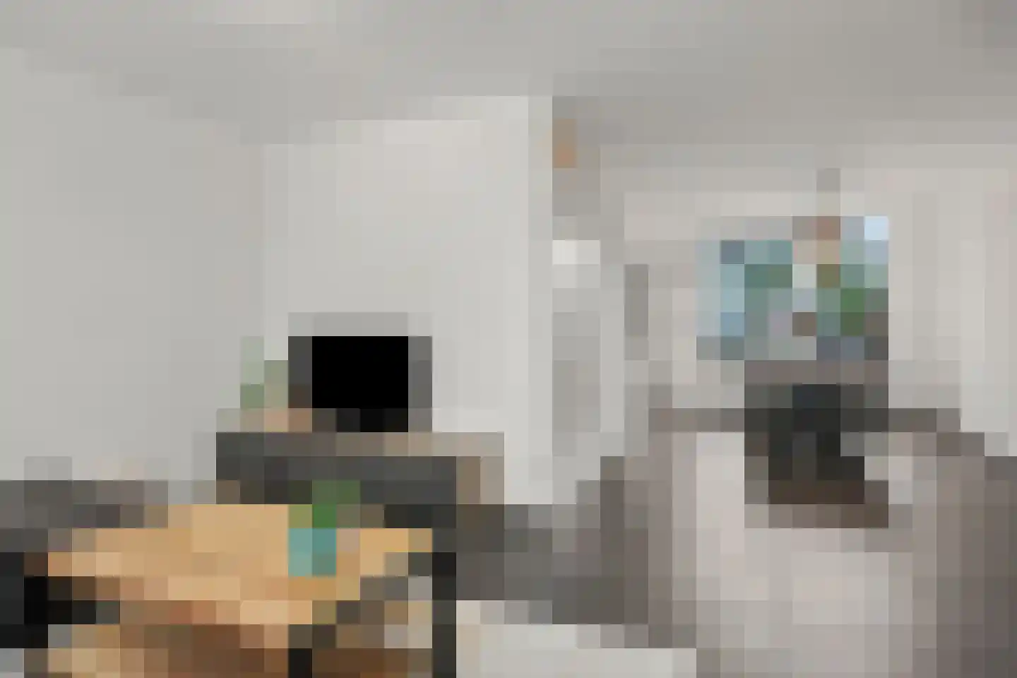 Stockhekken 10 Heesch thumbnail 5