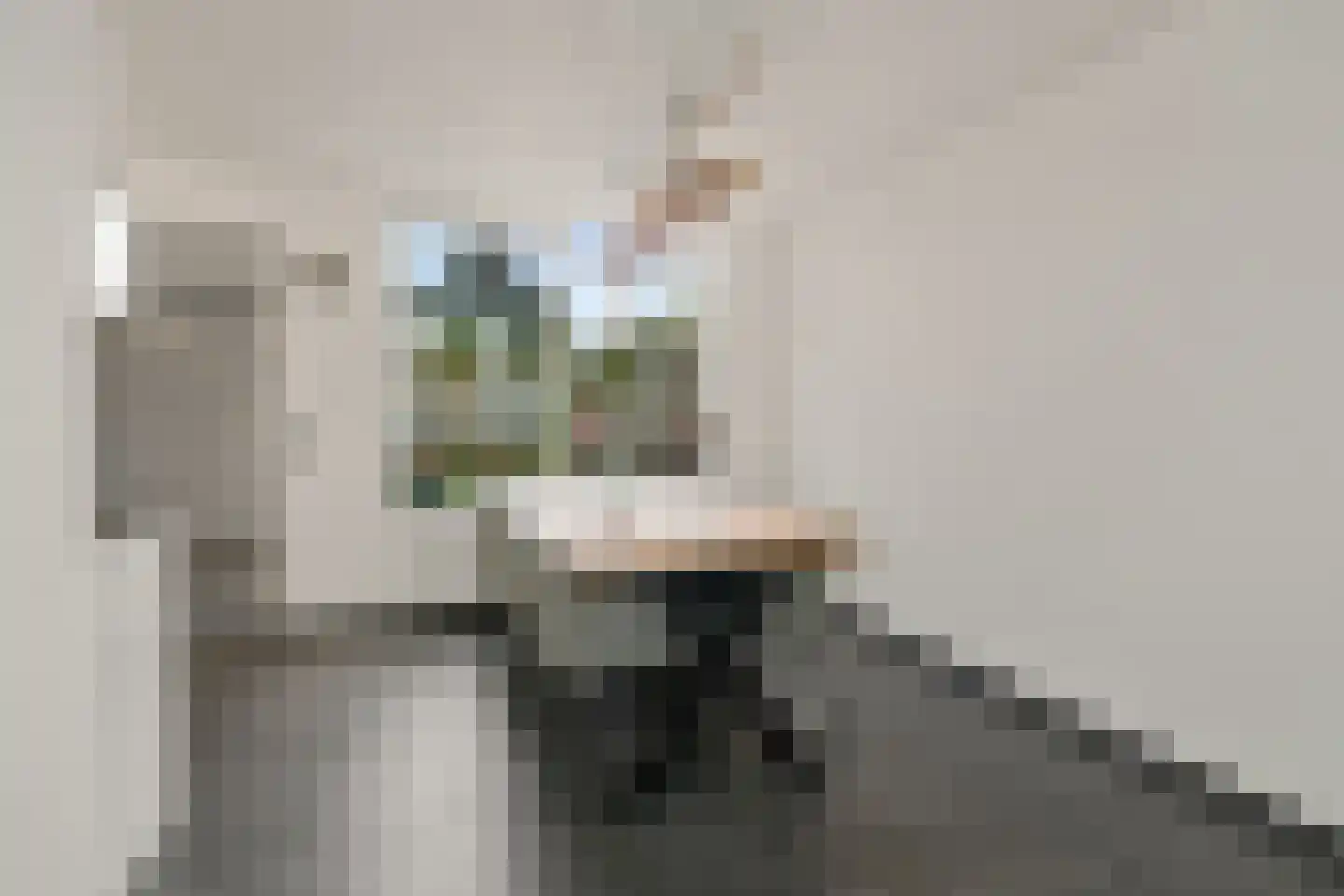 Stockhekken 10 Heesch thumbnail 6