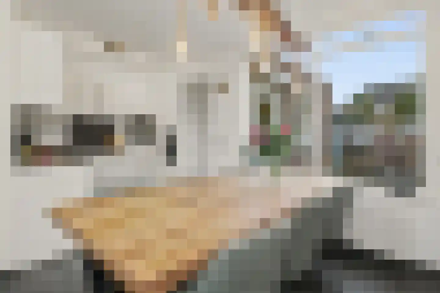 Stockhekken 10 Heesch thumbnail 7