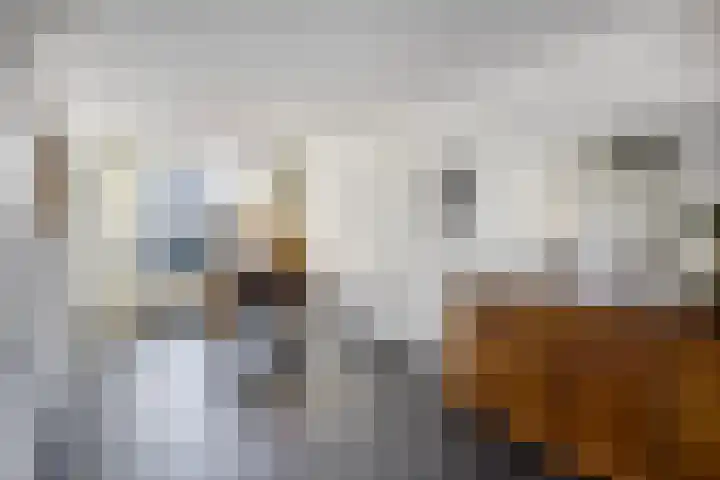 Stockhekken 10 Heesch thumbnail 8