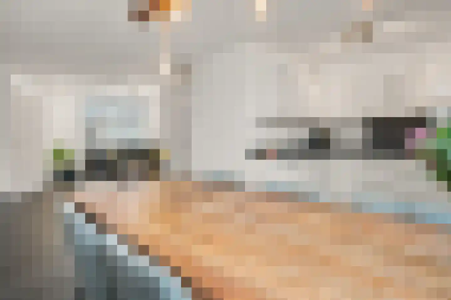 Stockhekken 10 Heesch thumbnail 8