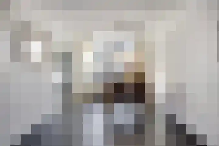 Stockhekken 10 Heesch thumbnail 9
