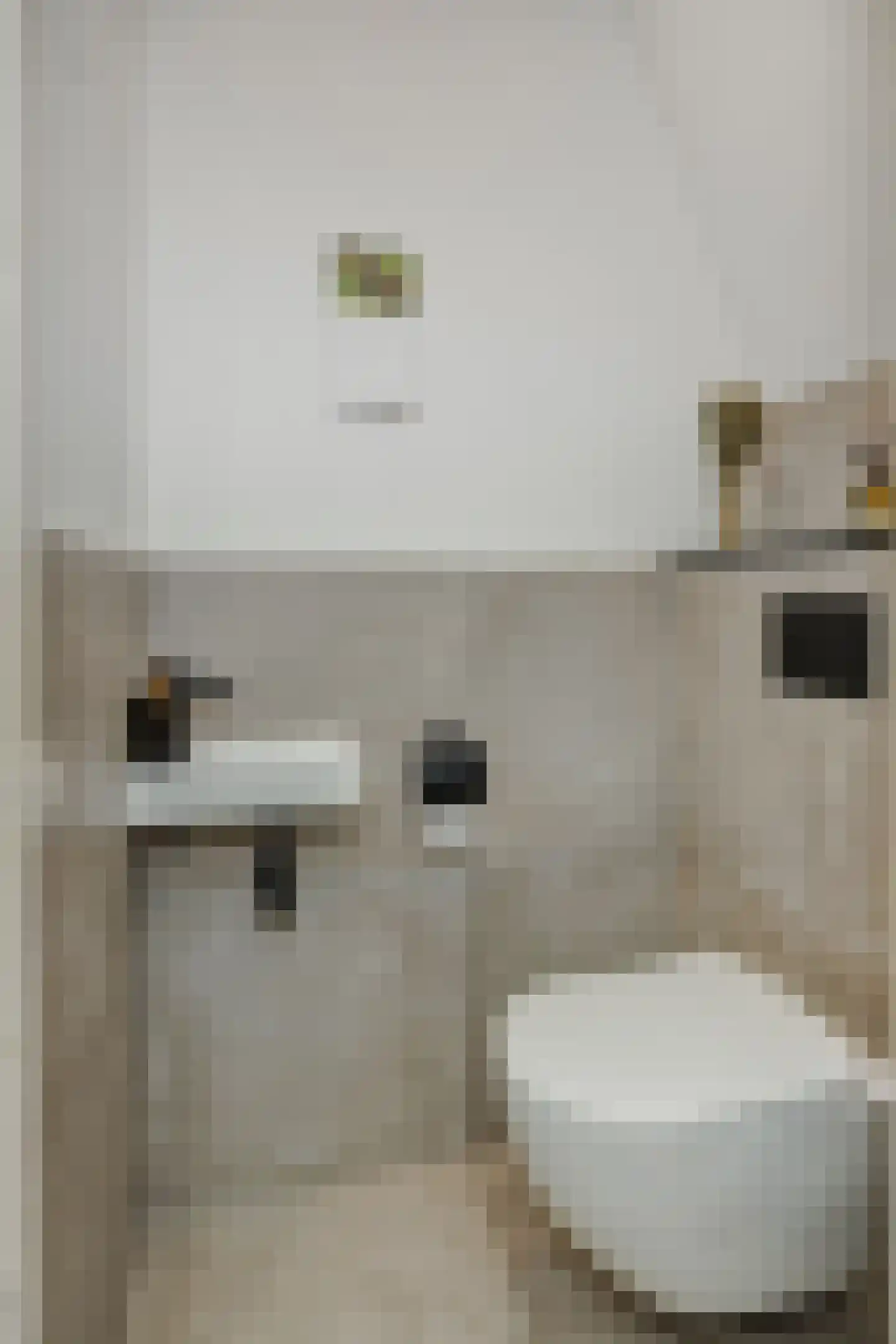 Stockhekken 27 Heesch thumbnail 18