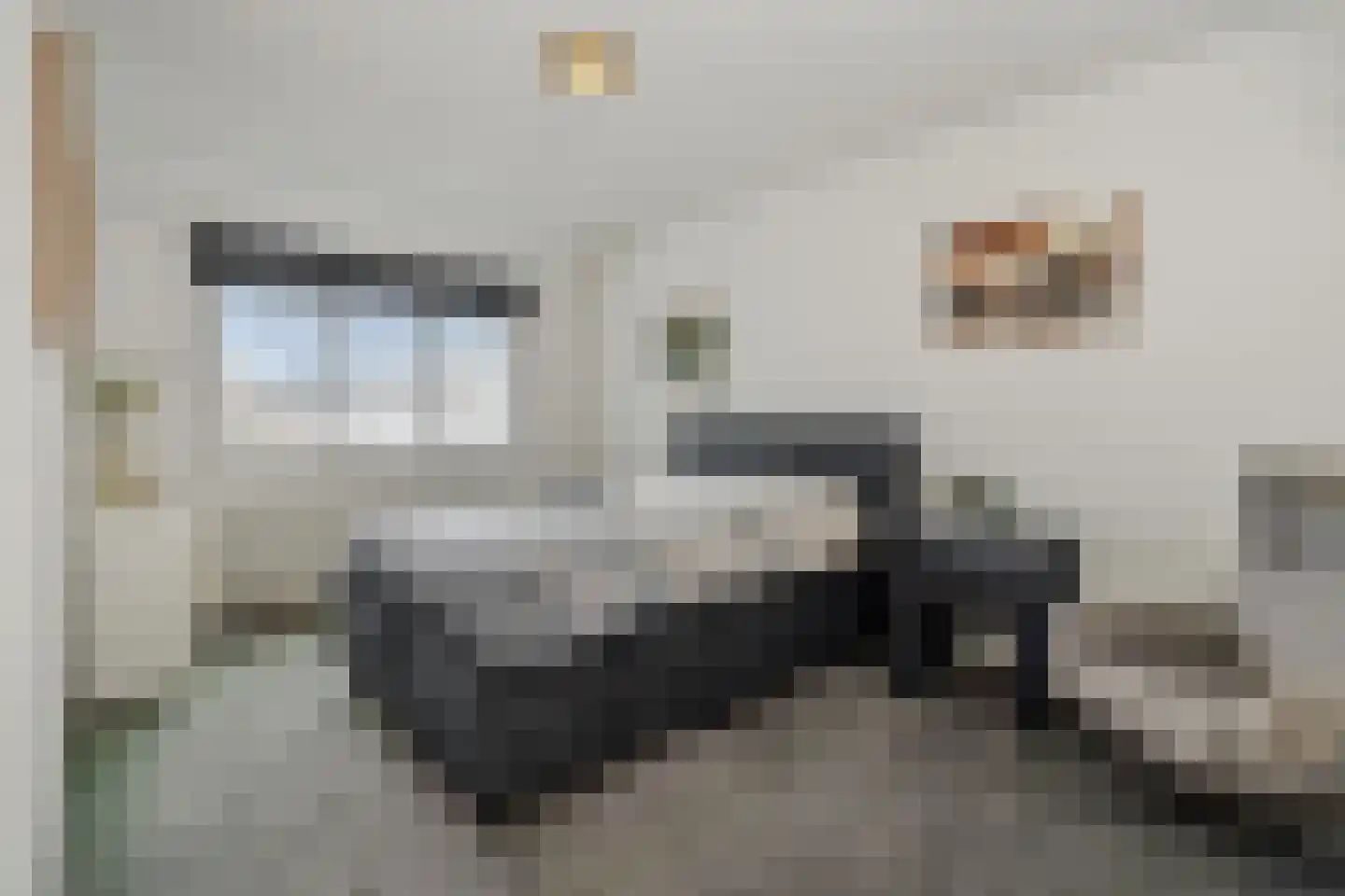 Stockhekken 27 Heesch thumbnail 21