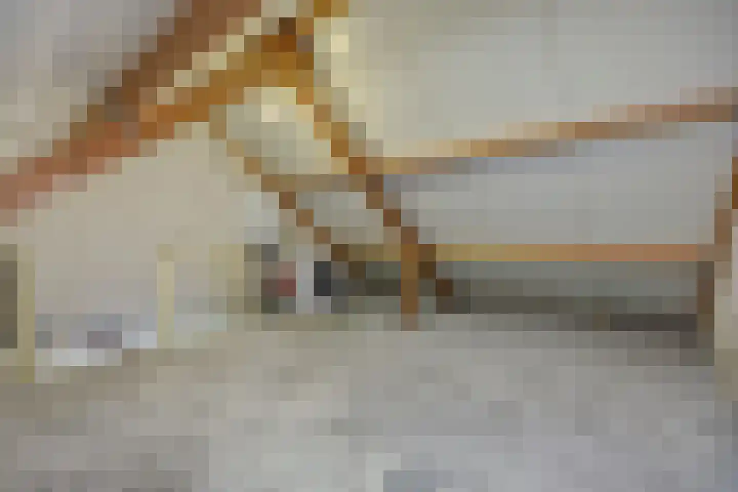 Stockhekken 27 Heesch thumbnail 28