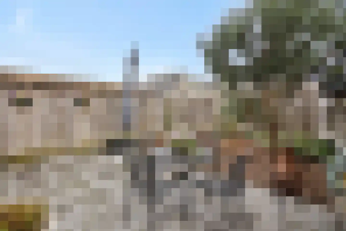 Stockhekken 27 Heesch thumbnail 32