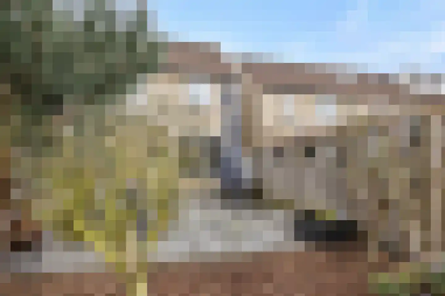Stockhekken 27 Heesch thumbnail 33