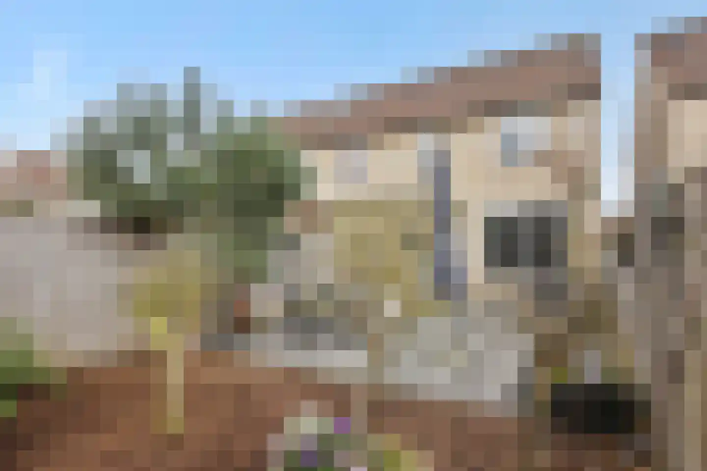 Stockhekken 27 Heesch thumbnail 34