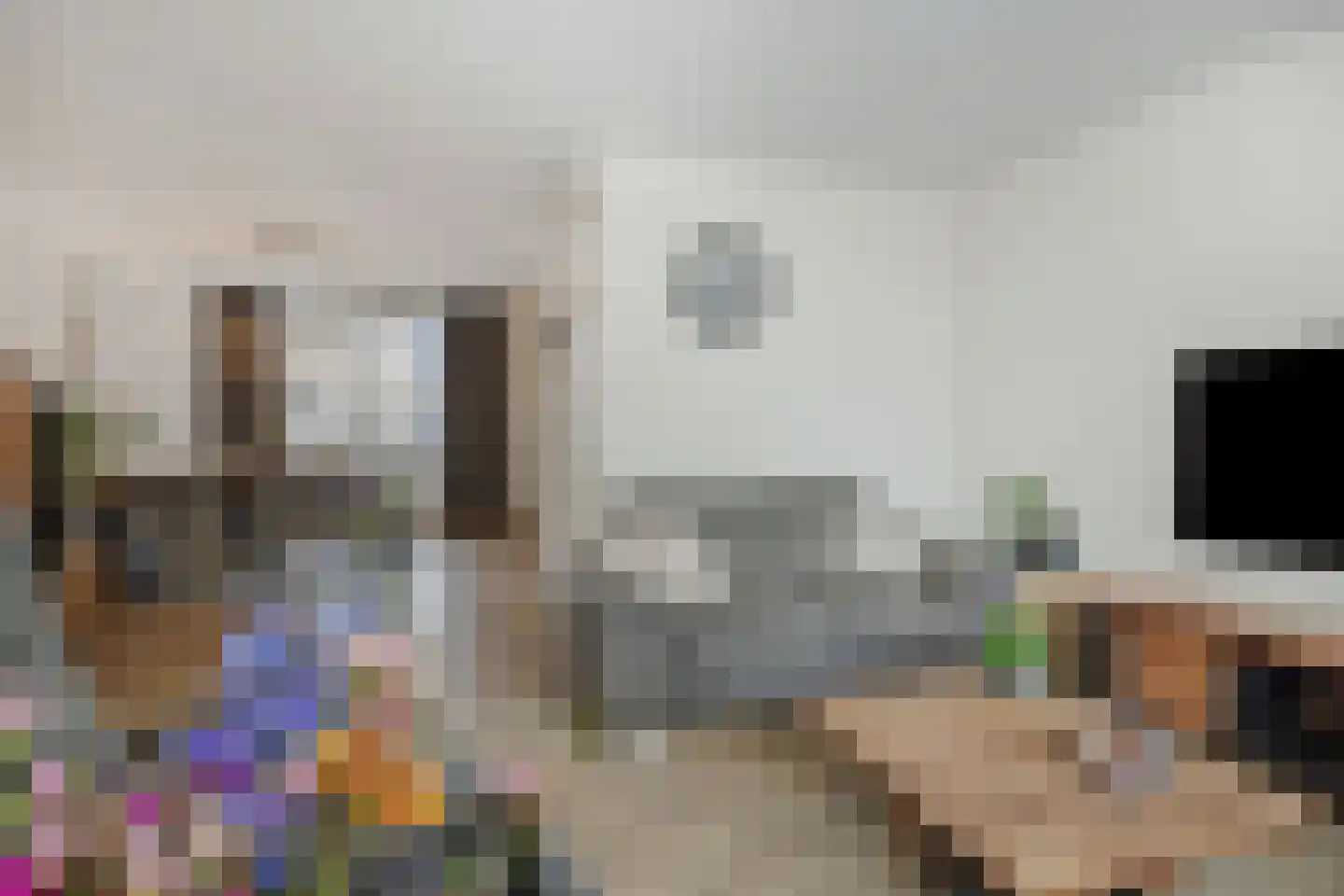 Stockhekken 27 Heesch thumbnail 4