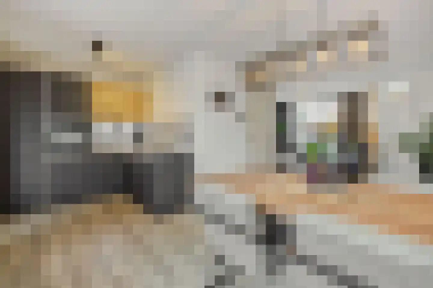 Stockhekken 27 Heesch thumbnail 8
