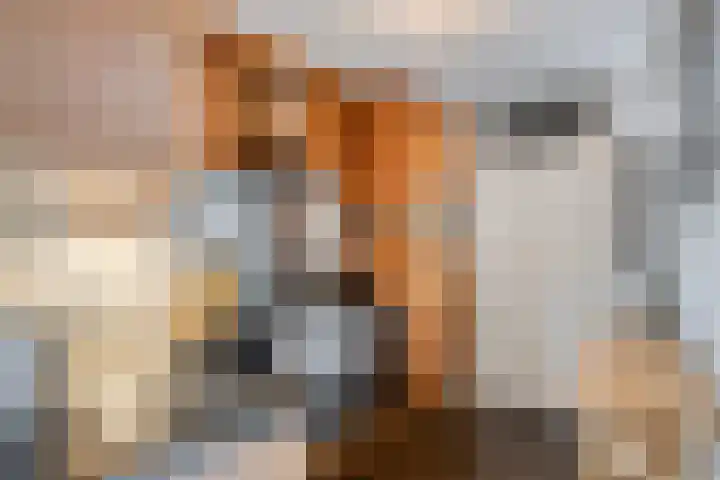 Stockhekken 47 Heesch thumbnail 17