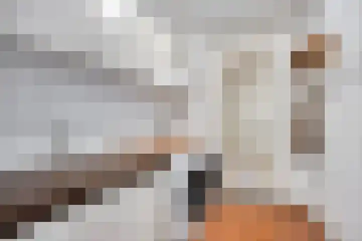 Stockhekken 47 Heesch thumbnail 18
