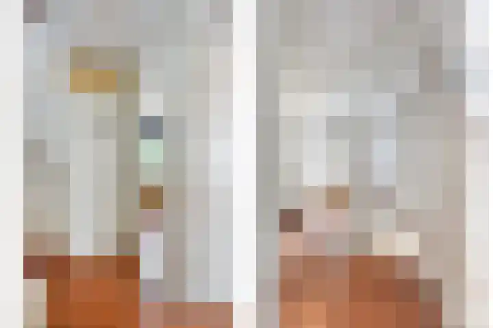 Stockhekken 47 Heesch thumbnail 19