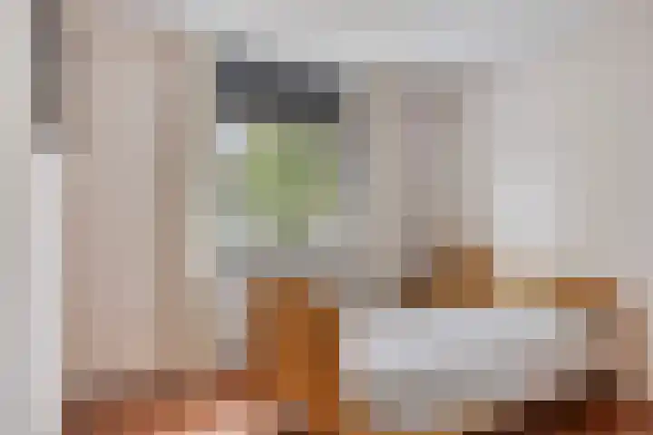 Stockhekken 47 Heesch thumbnail 24