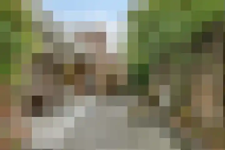 Stockhekken 47 Heesch thumbnail 30
