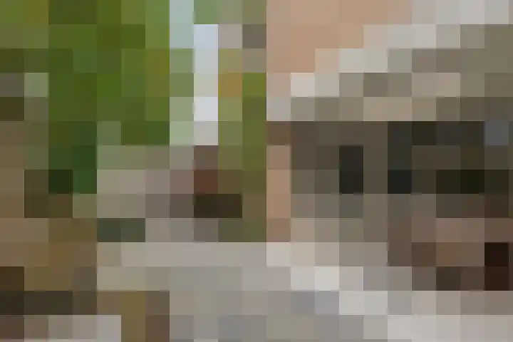 Stockhekken 47 Heesch thumbnail 32