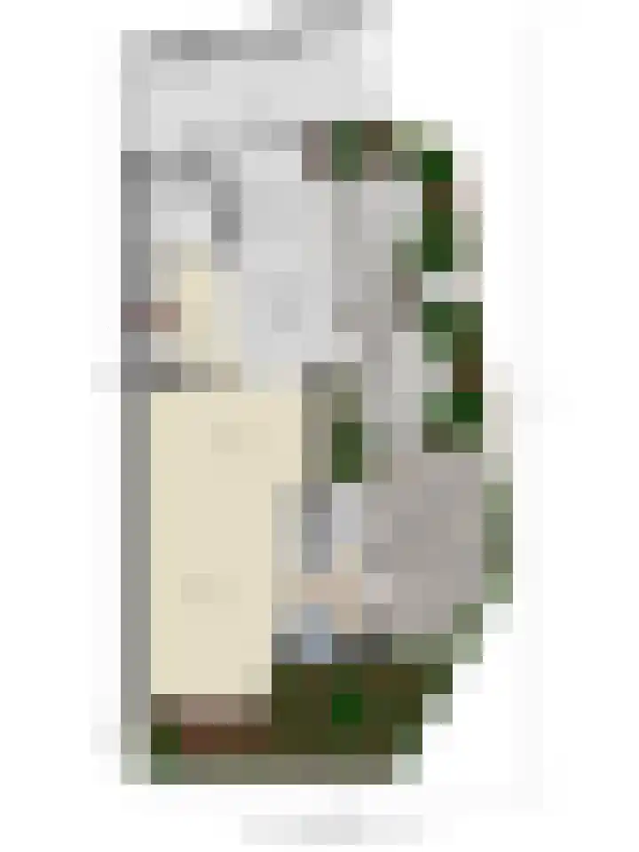 Stockhekken 47 Heesch thumbnail 34