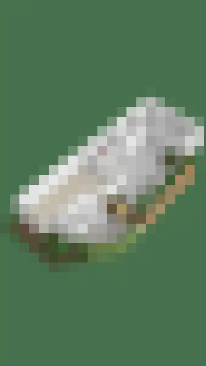 Stockhekken 47 Heesch thumbnail 35