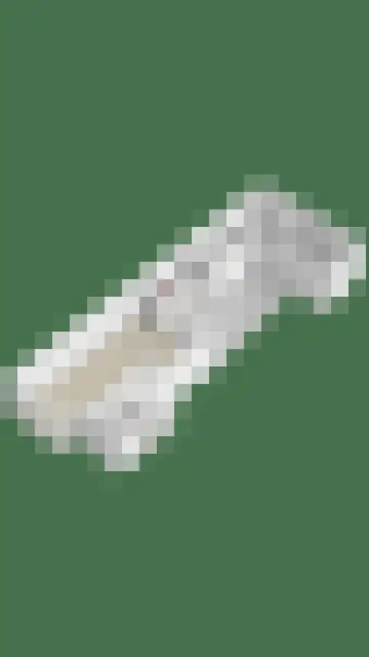 Stockhekken 47 Heesch thumbnail 37