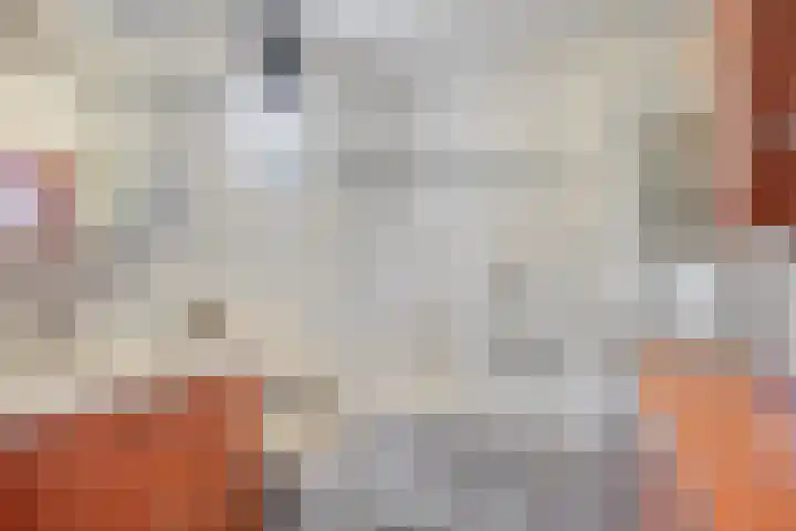 Stockhekken 47 Heesch thumbnail 4