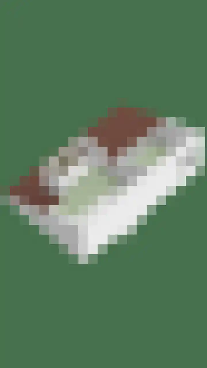 Stockhekken 47 Heesch thumbnail 41