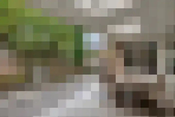 Stockhekken 47 Heesch thumbnail 5