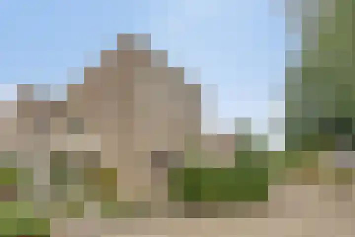 Stockhekken 47 Heesch thumbnail 6