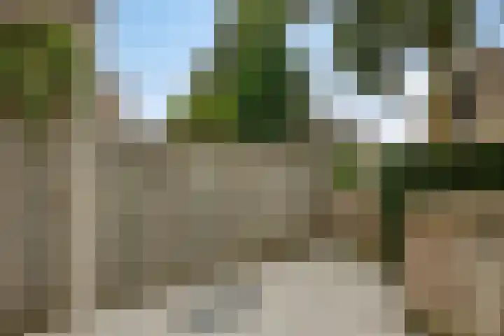 Stockhekken 47 Heesch thumbnail 8