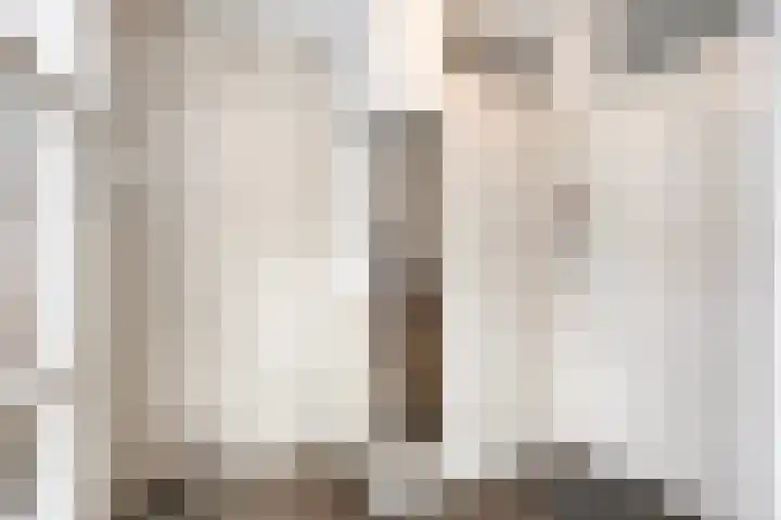 Stockhekken 47 Heesch thumbnail 9
