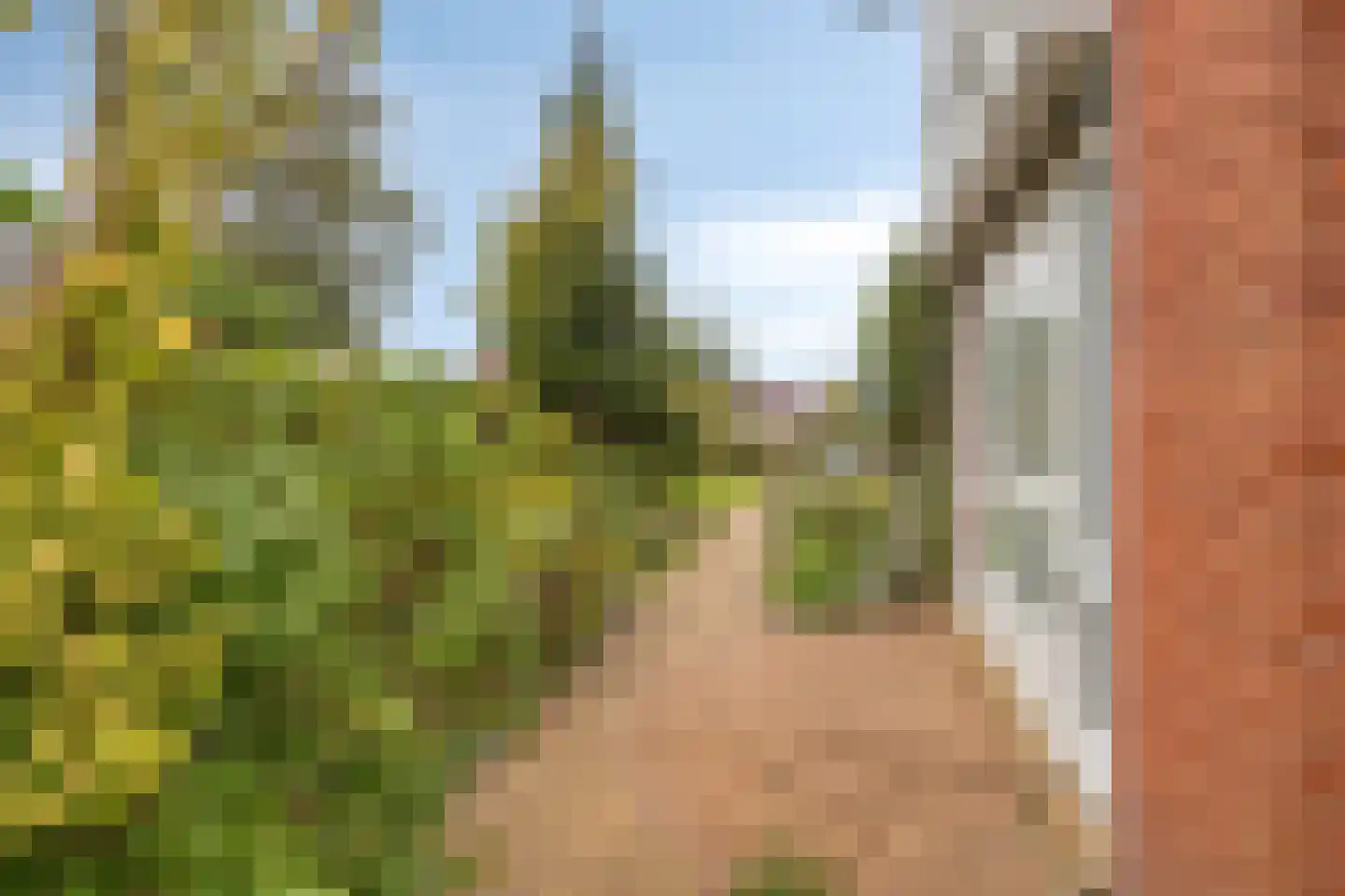 Stockholm 24 Schiedam thumbnail 42