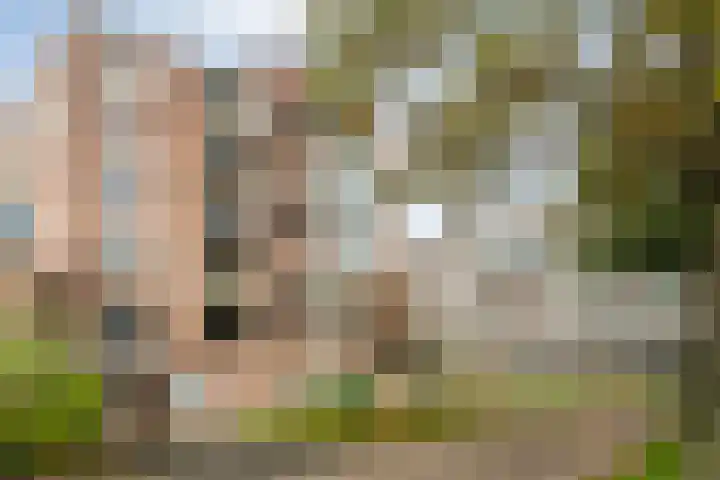 Stockholmstraat 28 Zwolle thumbnail 42