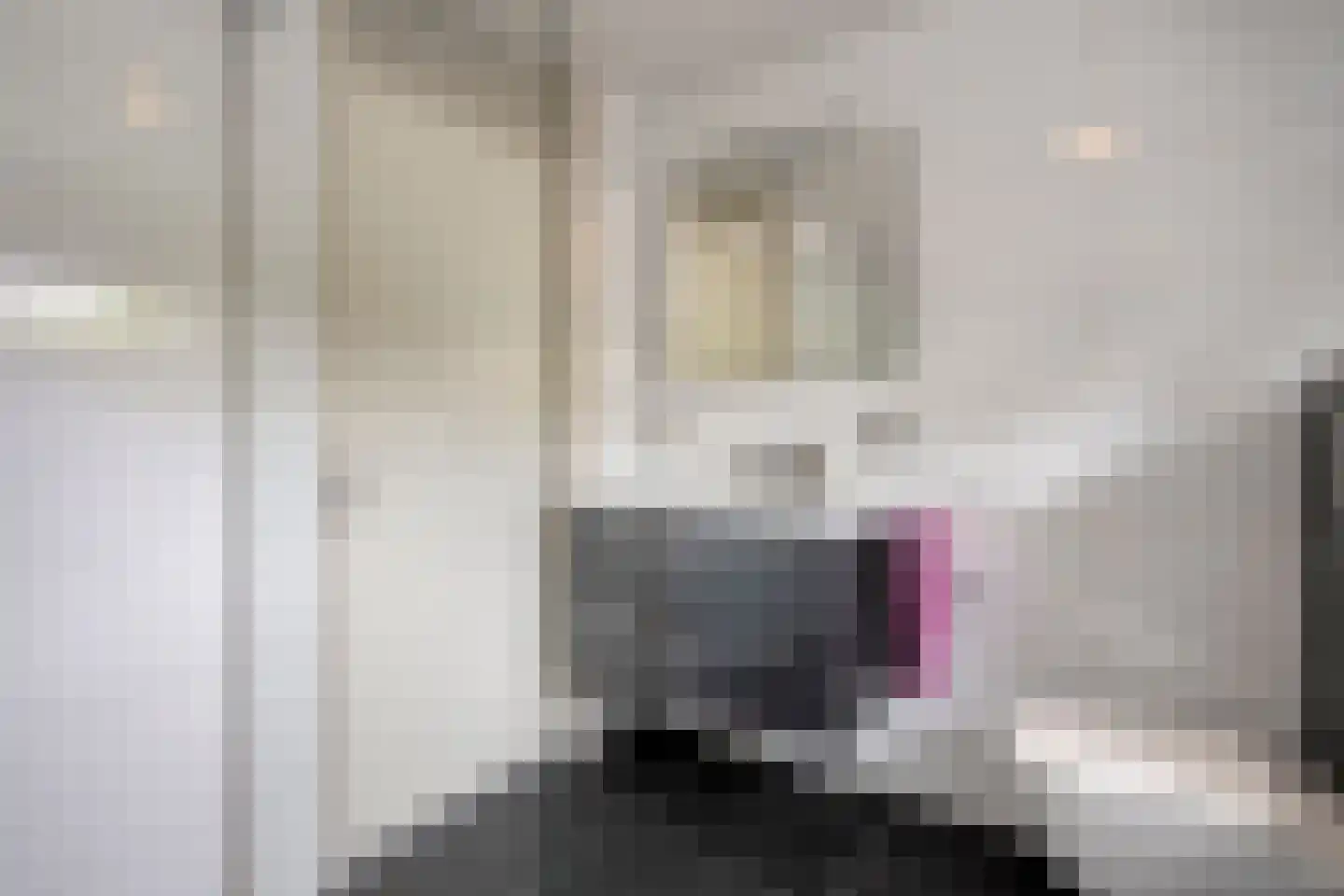 Stockholmstraat 56 Hengelo thumbnail 33