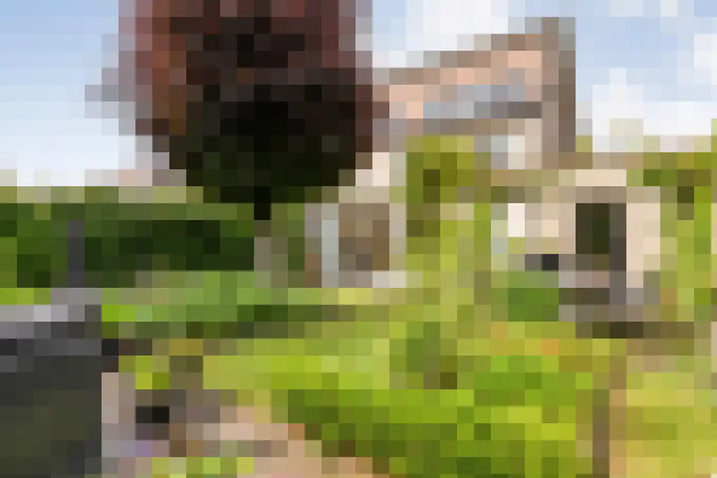 Stockholmstraat 56 Hengelo thumbnail 42