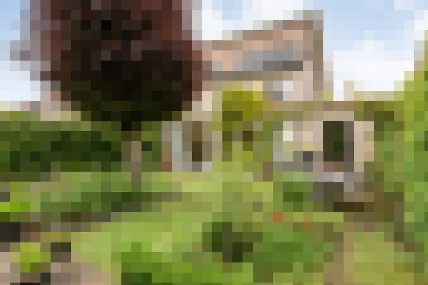 Stockholmstraat 56 Hengelo thumbnail 46