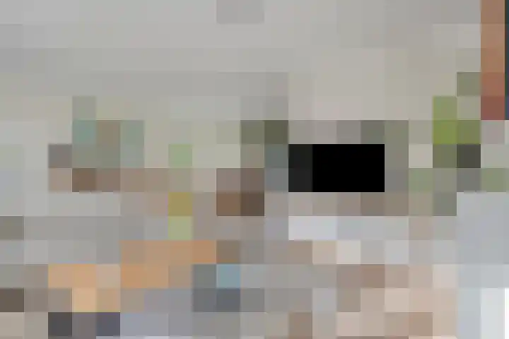 Stocreve 24 Goor thumbnail 10