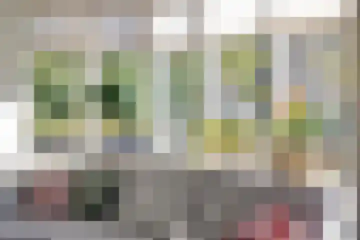 Stocreve 24 Goor thumbnail 13