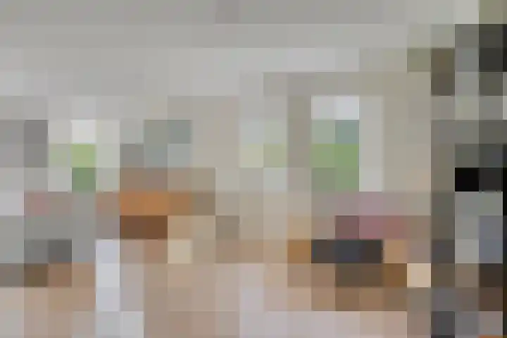 Stocreve 24 Goor thumbnail 16